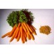 apercu carotte